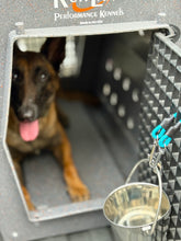 Kennel Bucket Holder / Coupler